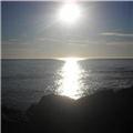 Sunny  January 2012